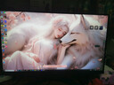 华硕小金刚VG27AQL5A 27英寸显示器2K200Hz显示器超频210Hz FastIPS FreeSync无撕裂 0.3ms响应 HDR400 实拍图