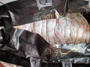 bebetour爱丽丝奇缘拉拉裤4XL28片舒适【品牌直供 安心品质】 实拍图