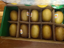 佳沛（zespri）新西兰阳光金果10个装单果重约103-114g 水果礼盒 猕猴桃 实拍图