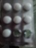思连康 双歧杆菌四联活菌片0.5g*18片/盒*1+整肠生地衣芽孢杆菌活菌胶囊 0.25g*12粒*1 肠易激综合征调节菌群 实拍图