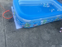 Bestway充气游泳池加厚可折叠水池儿童宝宝玩具家用戏水池蓝色青蛙3.1m 实拍图