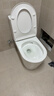 九牧（JOMOO）11383-2-1/31KB-1家用虹吸抗菌双漩坐便器大冲力节水马桶305坑距 实拍图