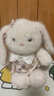 名创优品（MINISO）Cath Kidston花园工坊塔妮兔坐姿公仔毛绒玩偶玩具生日七夕节礼物 实拍图