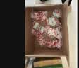 【标准版】呼吸道病毒细菌12联检京东到家快检上门取样咳嗽感冒发烧流感新冠甲流乙流肺炎核酸测试盒居家检测 实拍图
