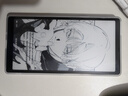 海信（Hisense）Hi Reader 2026特别纪念版 6.7英寸手机阅读器  墨水屏阅读电子书 300PPI电纸书 平板 HiReader 实拍图