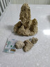 石光小站精品上水石吸水石盆景鱼池假山微景观装饰天然假山石头造景原石 精品10-14cm吸水石不含盆 实拍图
