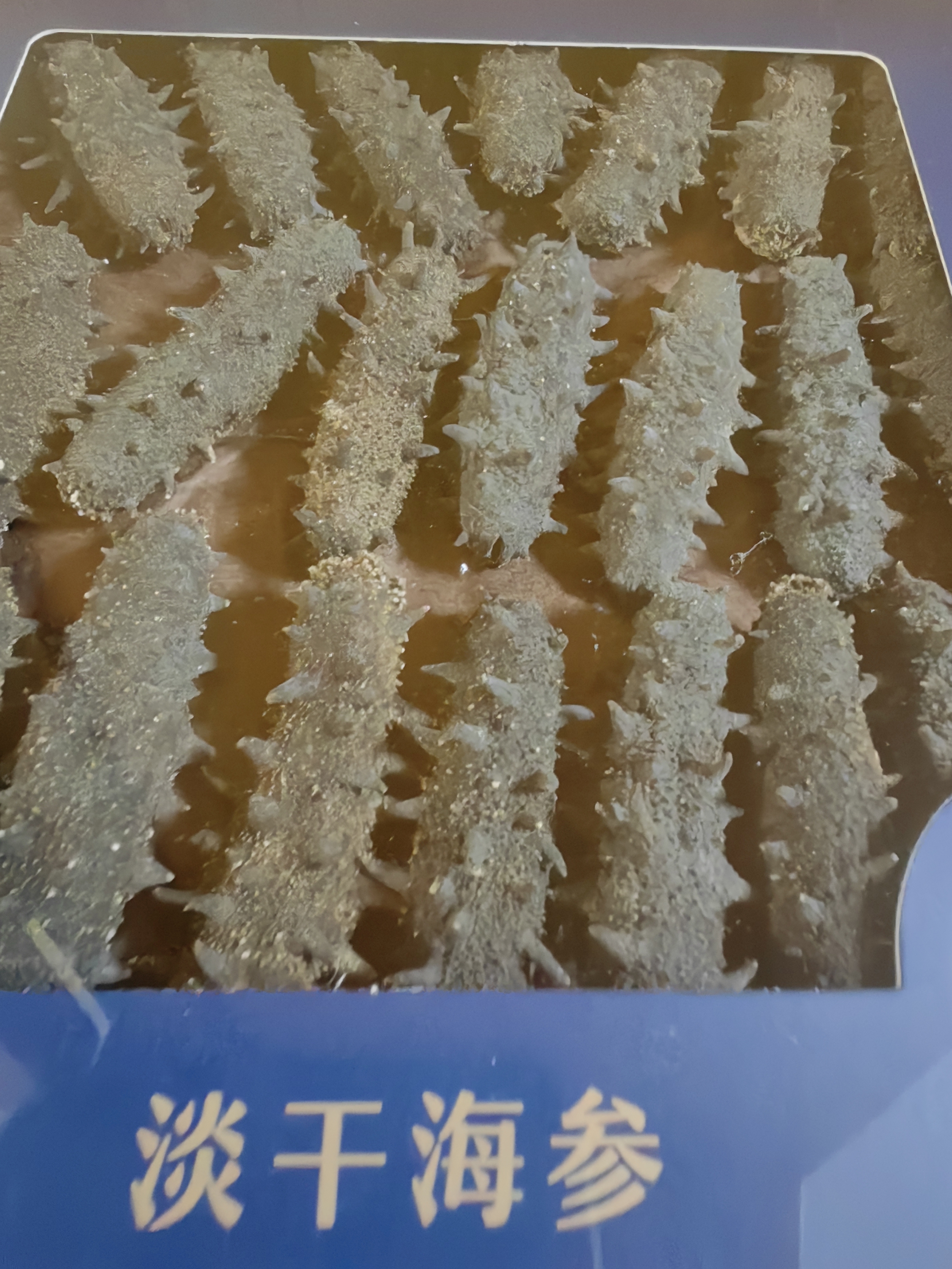 同仁堂北京同仁堂大连淡干海参辽参100g 20-30只 补品海参礼盒干货海鲜 实拍图
