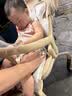 贝肽斯婴儿推车凉席垫冰珠冰垫遛娃神器坐垫宝宝座椅萌兔环游 70*34cm 实拍图