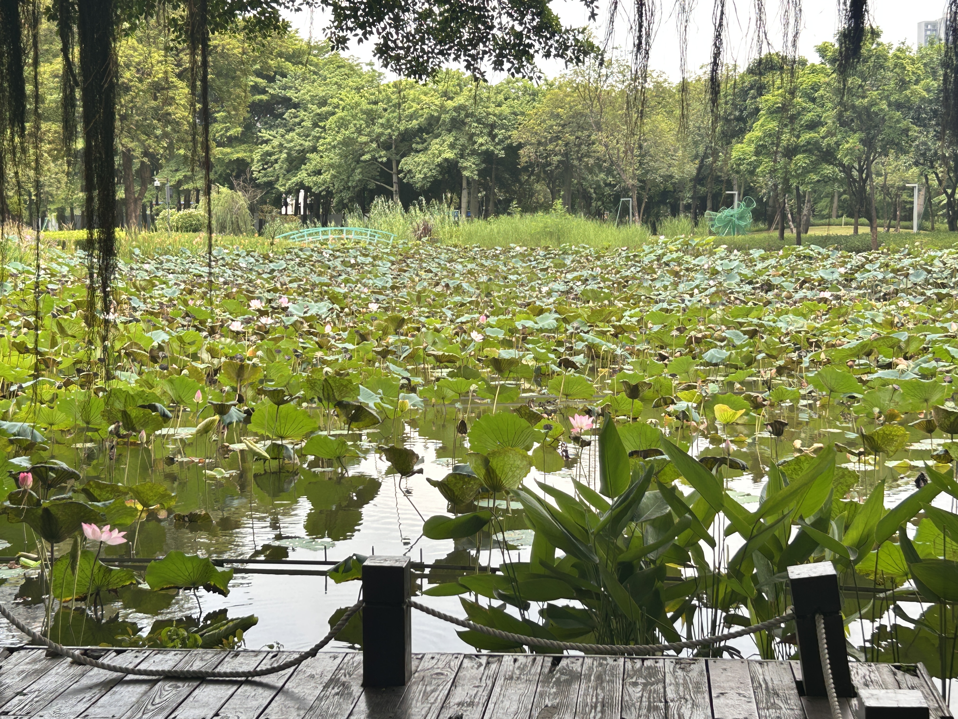 理肤泉PRO面膜1片+水光面膜1片+黑膜1片修护焕亮控油清痘护肤品京东试用 实拍图
