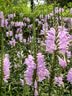 维达（Vinda）有芯卷纸 蓝色经典4层200克*27卷 高克重卫生纸 厕纸纸巾整箱 实拍图