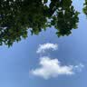 贝亲（Pigeon）自然离乳吸嘴组 含重力球吸管 原装配件 6月+240ml奶瓶专用重力球 实拍图