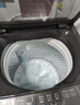 小天鹅（LittleSwan）波轮洗衣机小型全自动家用 10KG TB10V28T 一级能效 除菌螨 以旧换新 京东自营 出租房宿舍 实拍图