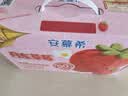 伊利安慕希丹东草莓酸奶230g*10瓶 草莓熊IP装普通装混发 礼盒装 实拍图