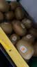 佳沛（zespri）新西兰 阳光金奇异果12粒特大果单果124-146g 猕猴桃水果礼盒 实拍图