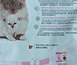 皇家猫粮 幼猫奶糕 幼猫猫粮 BK34 通用粮 1-4月 2KG 实拍图