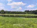 五谷道場五谷道场红烧牛肉面100g*5袋 + 葱油拌面 74g*5袋 实拍图