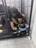 朗亲狗粮金毛拉布拉多泰迪成犬专用小中大型犬通用型狗干粮20kg 实拍图