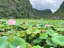 飞鹤星飞帆婴儿配方奶粉 1段(0-6月) 300克 专利OPO【京东试用装】 实拍图