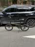 大行（DAHON）折叠自行车20英寸8级变速经典P8单车KBC083 消光绿经典版--京仓 实拍图