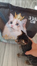 亿迪猫粮冻干幼猫成猫10斤全价英短蓝猫布偶老年猫国产通用全阶段5kg 实拍图