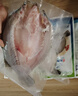 仙泉湖三去尖吻海鲈鱼1斤单条冷冻净膛金目鲈肉厚海鲜水产生鲜食材 实拍图