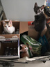 鲜朗主食猫条磷虾三文鱼油营养全价成猫幼猫湿粮无添加非零食补水湿粮 混合口味【12g/支】 48支【囤货装】 实拍图
