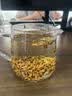 茗愿大麦茶特级炒熟大颗粒原味苦荞麦芽烘焙饭店回断奶泡水养生茶720g 实拍图