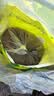 疯狂小狗狗粮金毛边牧拉布拉多中大型犬幼犬成犬20kg牛肉香菇40斤囤货装 实拍图