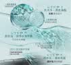 欧莱雅透明质酸水润洗发水无硅油清爽发丝洗头水洗发露400ml 实拍图