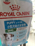 皇家狗粮 幼犬狗粮 宠物 小型犬 MIJ31 全价犬粮 2-10月 2KG 实拍图