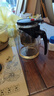 飘逸壶泡茶壶耐热高温玻璃沏茶过滤内胆冲茶器家用茶具套装 飘逸杯500mL1个 实拍图