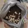 诚实一口P40 PLUS全价冻干猫粮成幼猫室内外80%鲜肉美毛鸡鱼味试吃装40g 实拍图