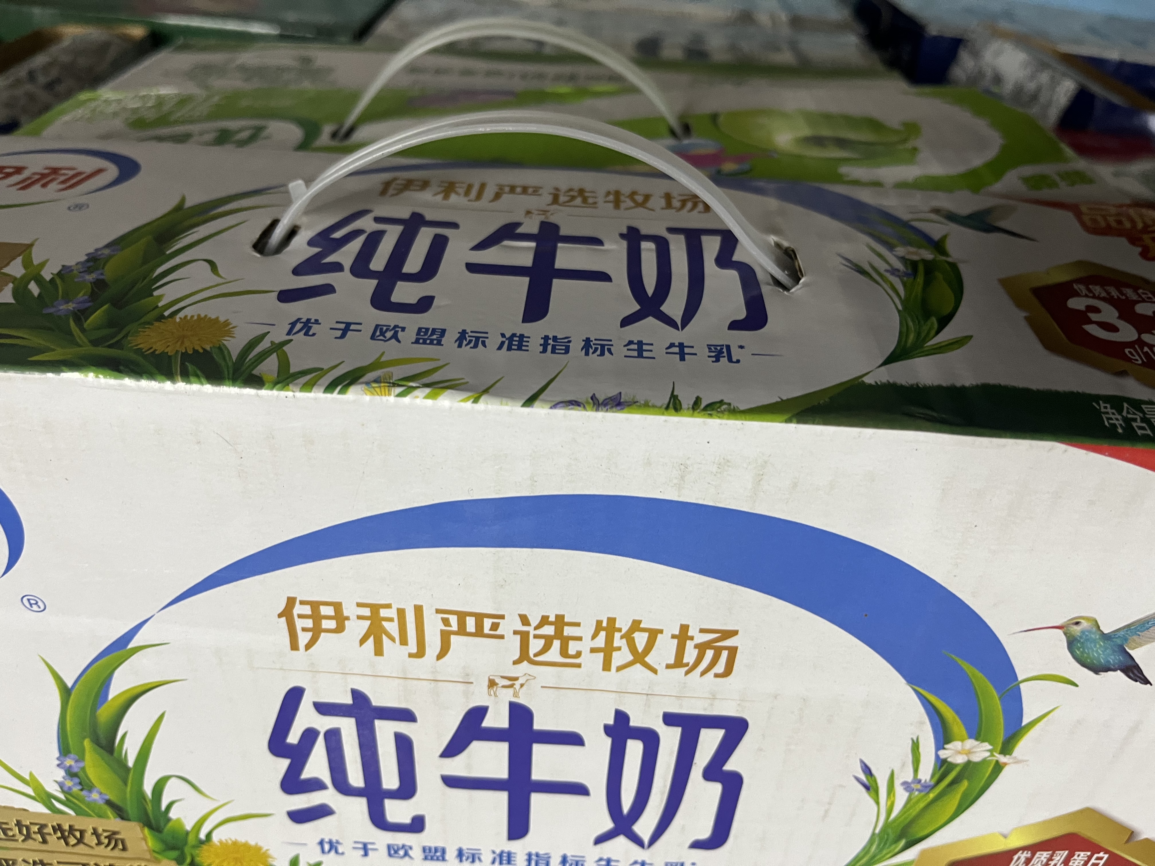 伊利严选牧场纯牛奶 250ml*16盒全脂牛奶 礼盒装 4月产 实拍图