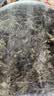 太守堂 紫苏叶250克 紫苏叶茶 干紫苏籽子叶 精选好货 花草茶叶泡水 实拍图