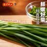 湾仔码头韭菜猪肉水饺1320g66只早餐速食半成品面点生鲜速冻饺子 实拍图