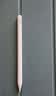 Apple/苹果 Pencil(USB-C) 磁吸触控笔手写笔苹果笔电容笔iPad笔 适用iPad(A16)/mini/Pro/Air 实拍图