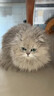 instinct进口猫粮百利无谷鸡全猫幼猫干粮11磅/5kg 效期26年11月1日 实拍图