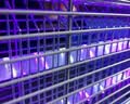 巨奇灭蚊灯电蚊驱蚊灭蝇灯餐厅酒店商用家用灭蚊子苍蝇神器(约40㎡) 实拍图