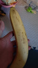 君乐宝（JUNLEBAO）简醇梦幻盖0添加蔗糖常温酸奶255g*10瓶风味酸牛奶礼盒装 实拍图