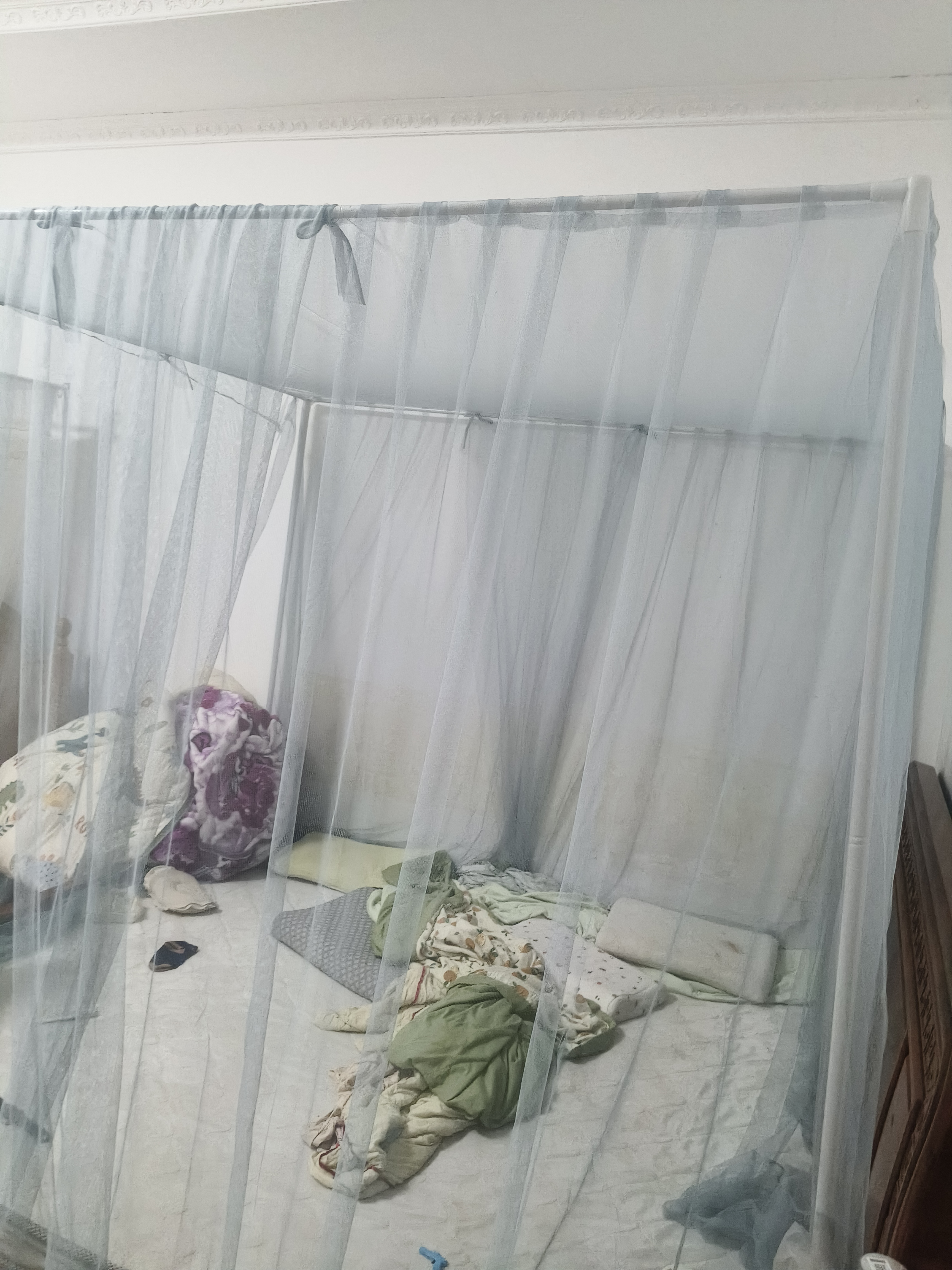 安睡宝（SOMERELLE）A类加密帐纱三开门落地公主风宫廷蚊帐 加高加粗支架 1.8x2米床 实拍图