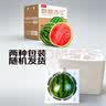 京鲜生 无籽麒麟瓜西瓜 1粒装 净重5-7斤 生鲜水果源头直发包邮 实拍图