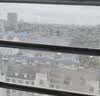 【月销万单】纱窗刷二合一清洗纱窗玻璃神器免拆纱网多功能清洁刷 纱窗刷【单支装】-活动专用 实拍图