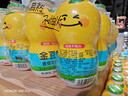 金豆芽儿童金银花柚子汁155ml*16瓶夏天孩子饮料宝宝果汁西柚汁 实拍图