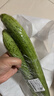 碧水长丝瓜约700g 实拍图