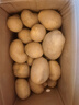 现摘新鲜圆辣椒超市即食太空椒皮厚肉多不辣水果灯笼椒 山东圆椒净重4.6斤 实拍图