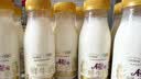 每日鲜语鲜牛奶 A2β-酪蛋白鲜牛奶185ml*6 巴氏杀菌乳 低温鲜奶 实拍图
