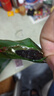 京东京造九制黄精500g 即食九蒸九制茶中药材滋补养生男女肾茶饮小袋 实拍图