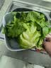 佳帮手洗菜盆双层沥水篮洗水果洗菜篮淘米盆家用火锅备菜滤水神器4个装 实拍图