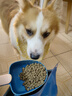 纯福酶解鸡肉泰迪柯基比熊博美幼犬成犬粮冻干小型犬通用型狗粮囤货装 小型犬犬粮7.5kg【5包囤货装】 实拍图