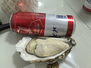 泰山娃 海苔薄脆饼干酥脆薄饼代餐早餐小吃咸味解馋休闲零食品下午茶 实拍图